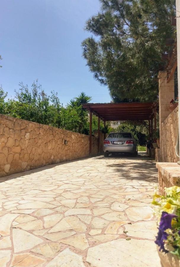 Mediterranean Garden Villa Vathí Kültér fotó