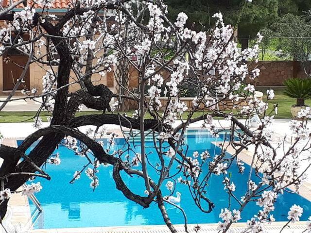 Mediterranean Garden Villa Vathí Kültér fotó